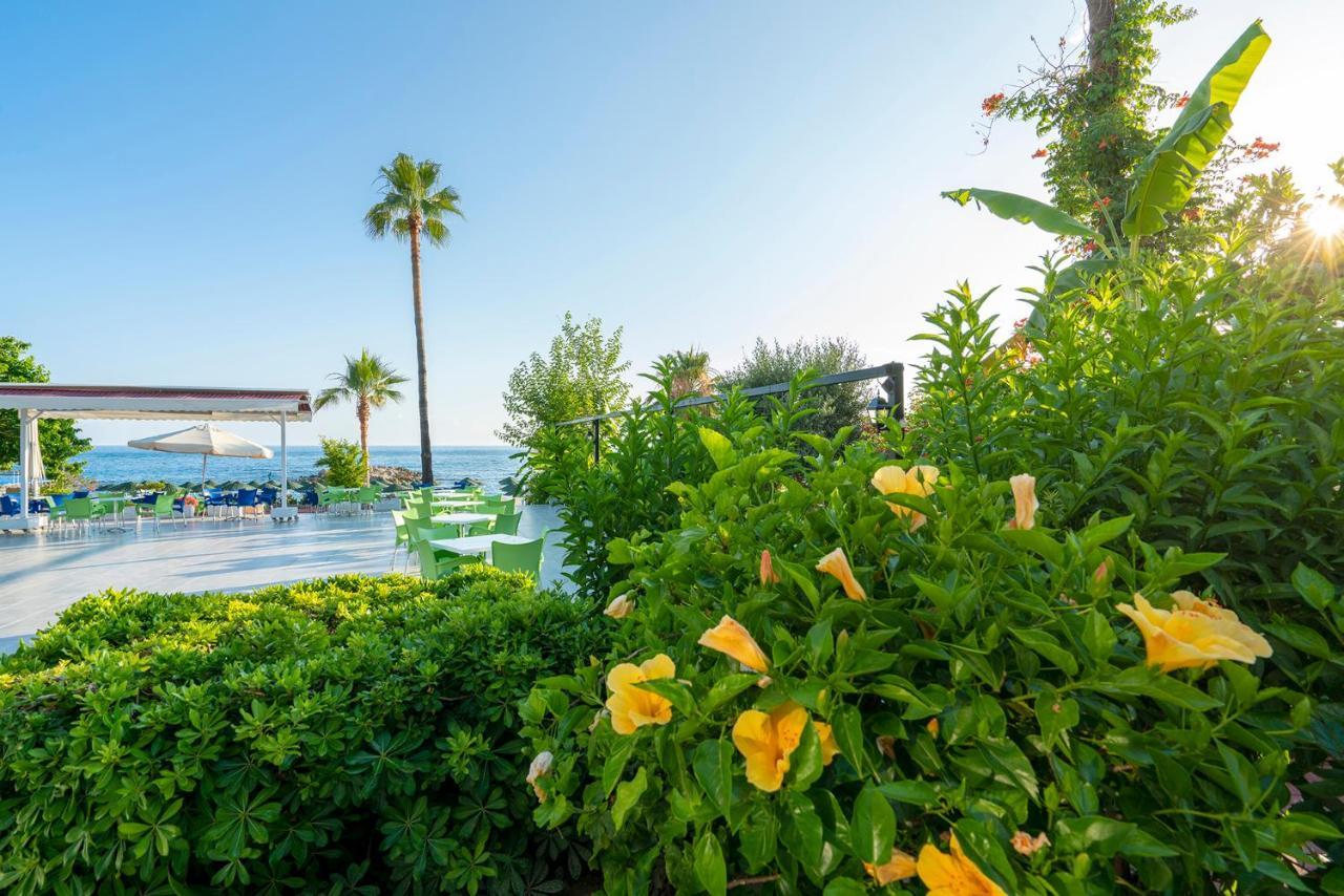 Ramira Beach Hotel Avsallar Εξωτερικό φωτογραφία